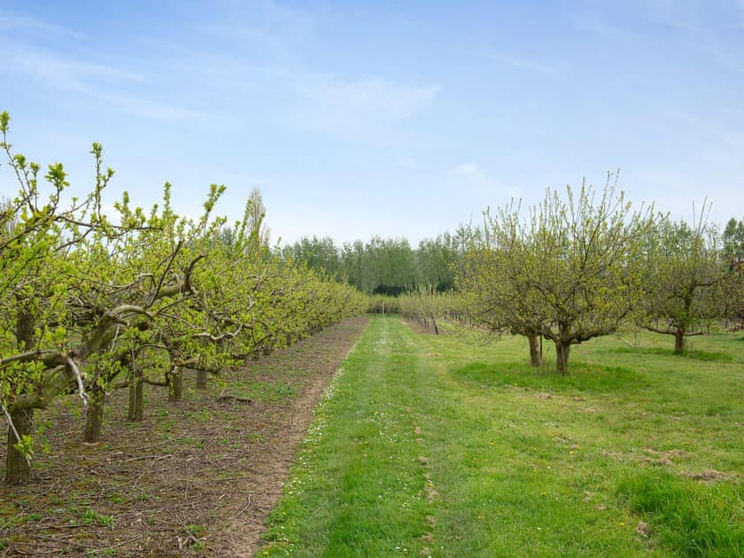 Surrounding area | Oast View - Santon Farm Cottages, Preston, near Canterbury