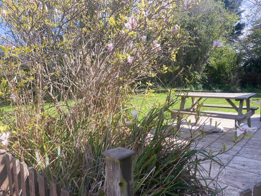 Garden | Willow Cottage, Cardigan