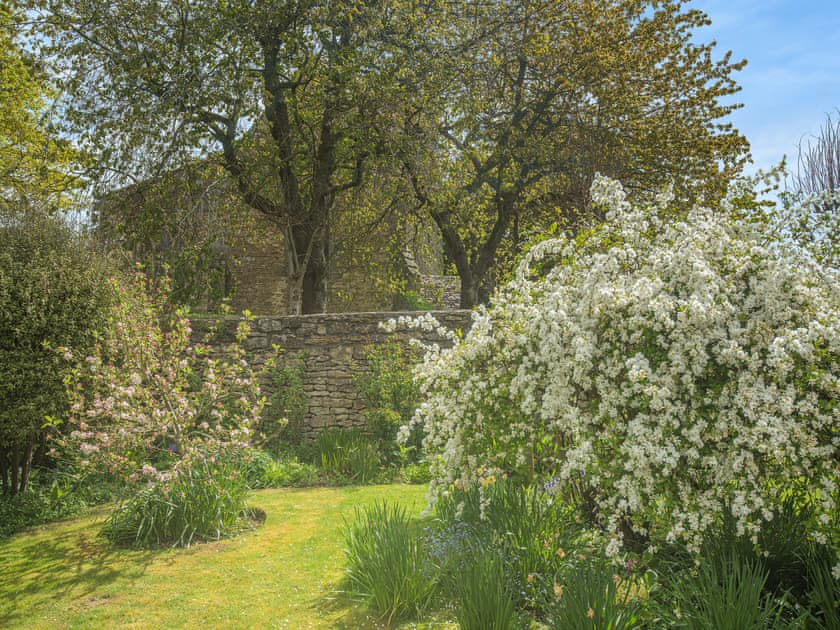Garden | Church House Cottage, Stour Provost, near Gillingham