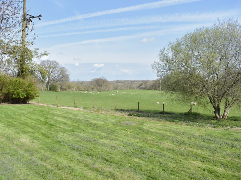 Garden and grounds | Rushgill House, Skelton, near Penrith