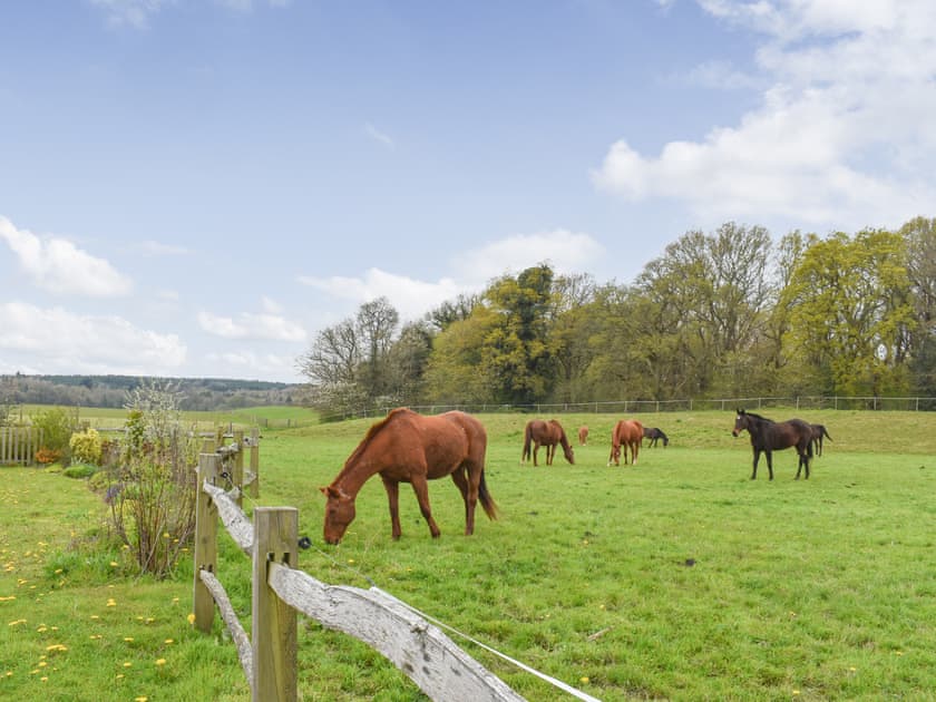 View | The Lodge at Oakwood Park Polo Club, Uckfield