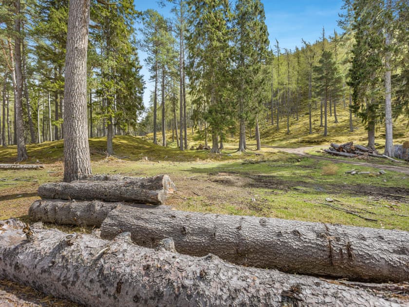 Surrounding area | The Knock, Inverey, Braemar