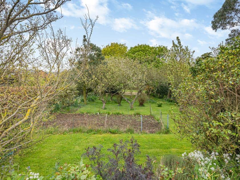 Garden and grounds | Highfields, Runswick Bay