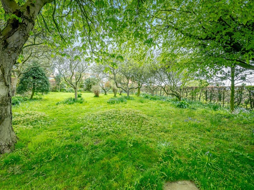 Garden and grounds | Highfields, Runswick Bay