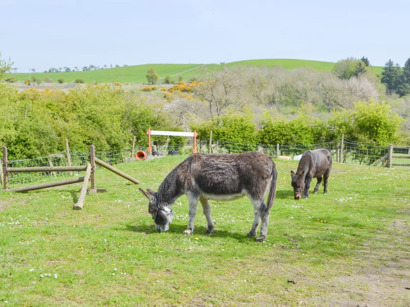 Garden and grounds | The Workshop, Newton-on-the-Moor