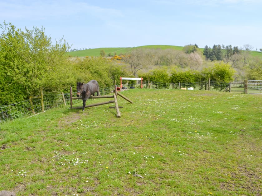 Garden and grounds | The Workshop, Newton-on-the-Moor