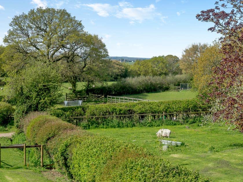 Surrounding area | Wonky Donkey - Tanglin Farm, Brinkworth