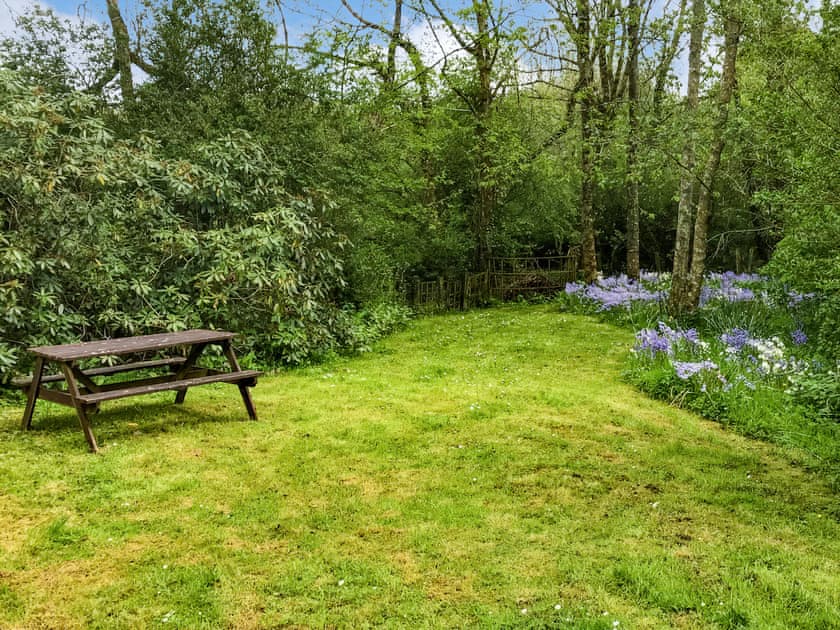 Attractive garden in Springtime | Woodpecker Rest, Llechryd, near Cardigan