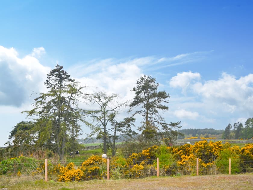 Garden and grounds | Proncy Farm Chalet, Dornoch