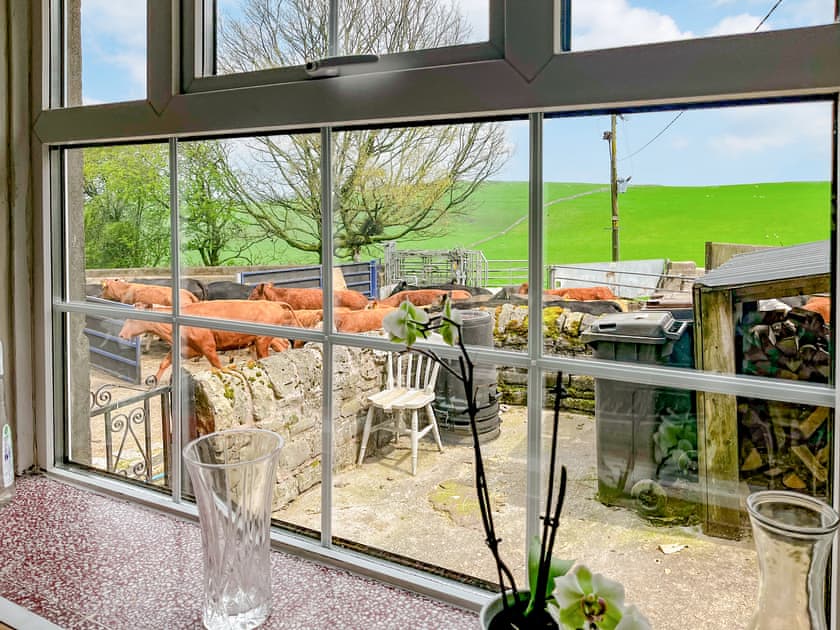 View | Throwley Moor Farmhouse - Throwley Hall, Ilam, near Ashbourne