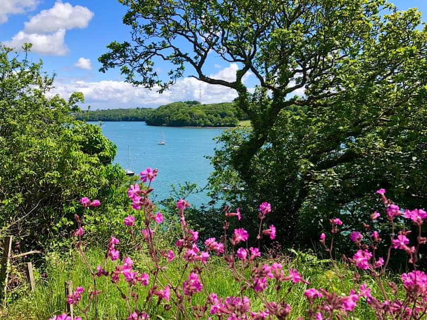 Spring flowers up the cliff walk | Badger Lodge, Burton