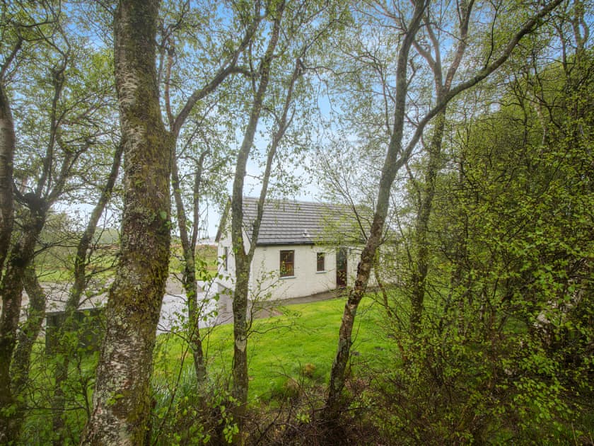 Setting | Cruinn - Cruinn and Moy, Achnamara, near Lochgilphead