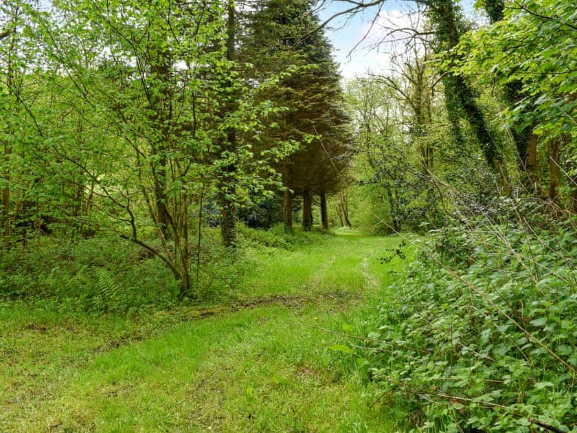 Garden and grounds | Goitre Farmhouse, Llanwrda
