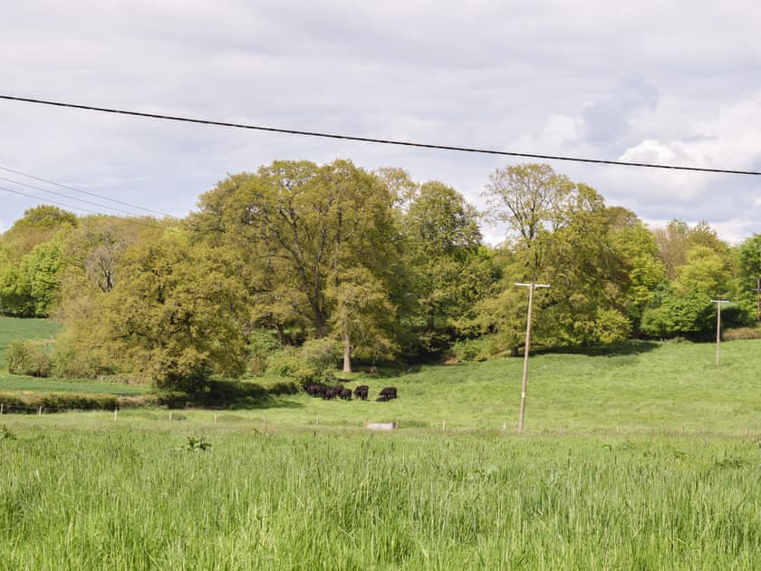Surrounding area | Club Cottage, Farleigh Wallop, near Basingstoke