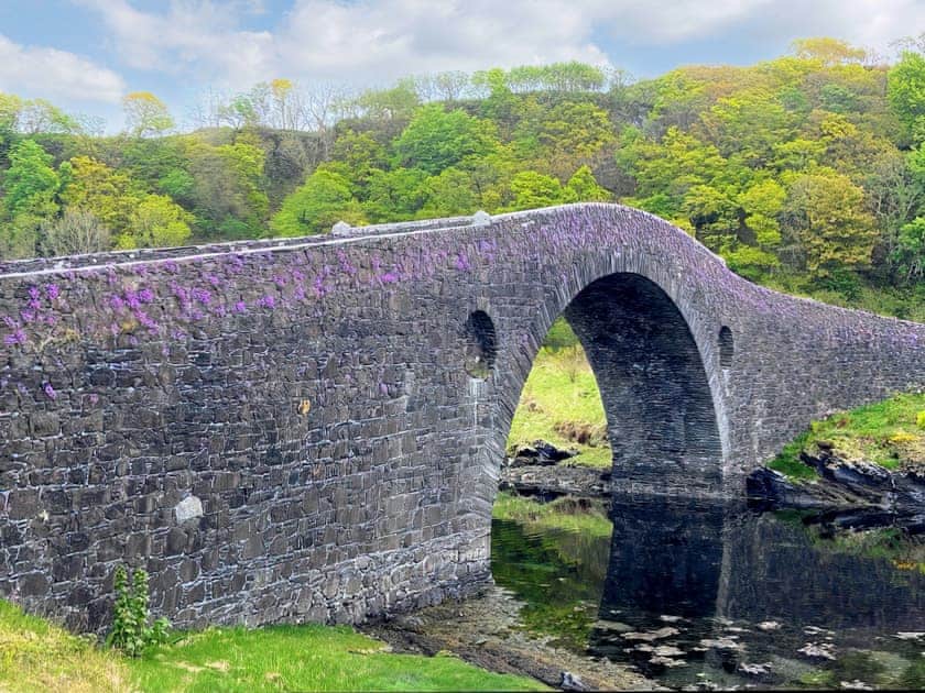 Spring flowers on the Brdge over the Atlantic | Seashell Cottage - Tramway Cottages, Ellenabeich, Isle of Seil