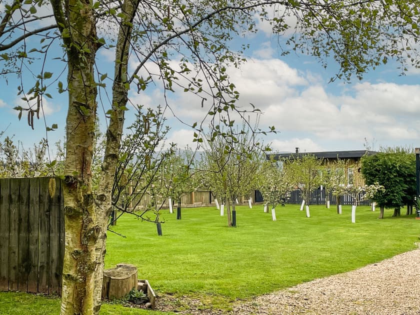 Garden | Orchard Chalet, Luthermuir, near Laurencekirk
