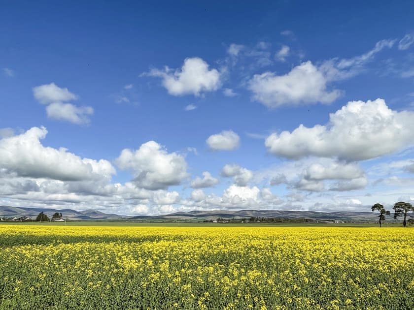 Surrounding area | Orchard Chalet, Luthermuir, near Laurencekirk