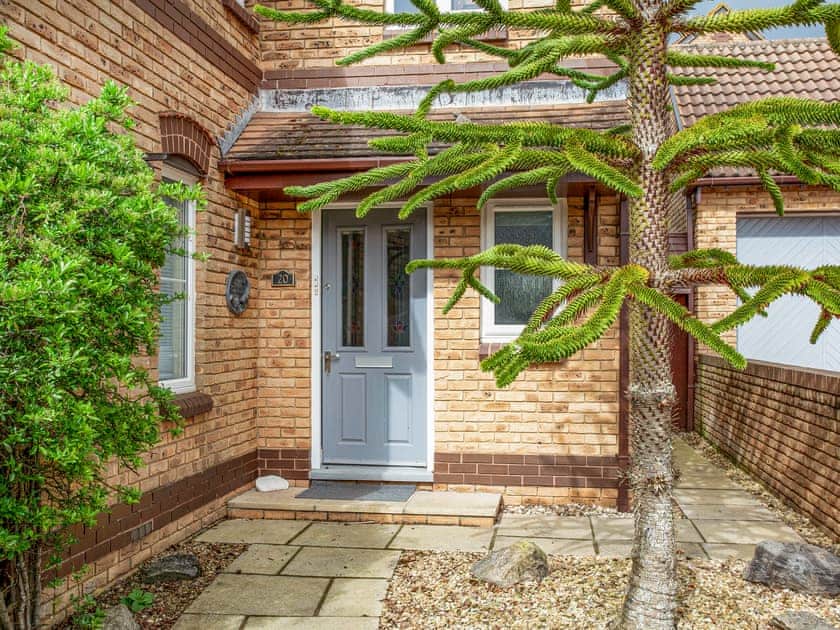 Exterior | Squirrels, Teignmouth