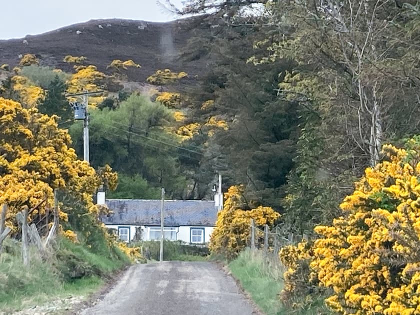 Driveway | Farr, Helmsdale, near Brora