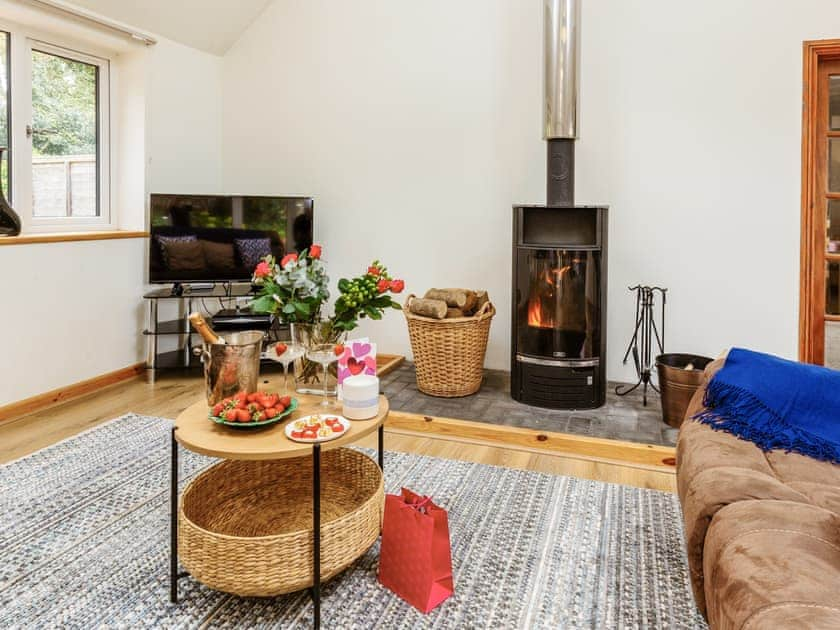 Light and airy living room with wood burner | Woodlands, Langford Budville, near Wellington