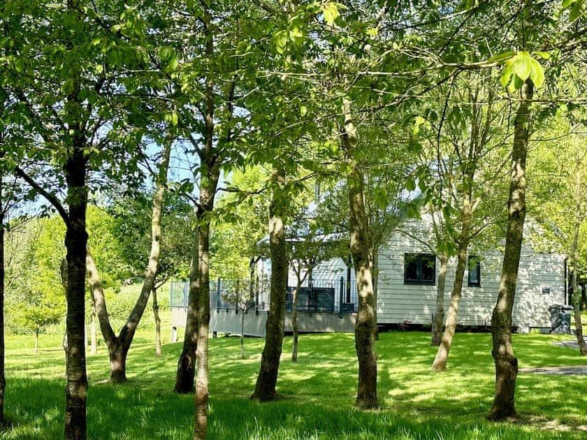 Exterior | TallTrees - Lawpit Lodges, Uplowman, near Tiverton