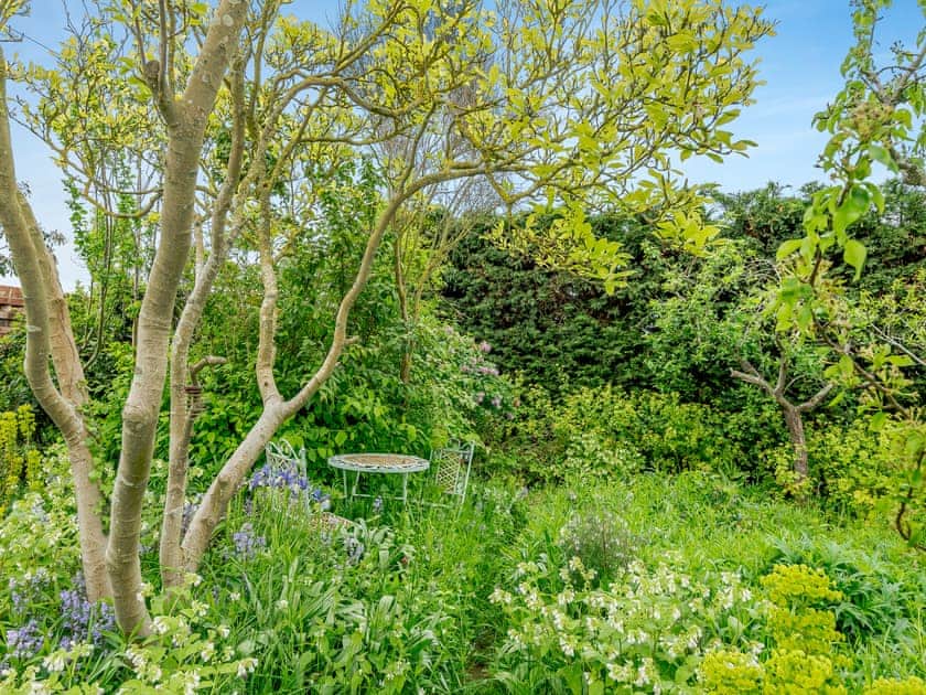 Garden | Covehithe House, Wrentham, near Southwold