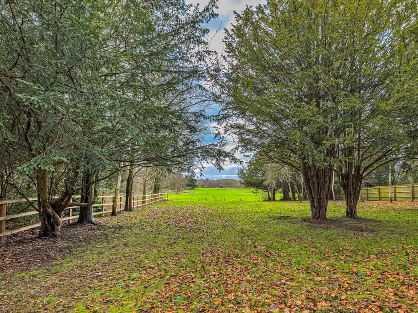 Garden and grounds | Ttich Manor, Wolverton, near Milton Keynes