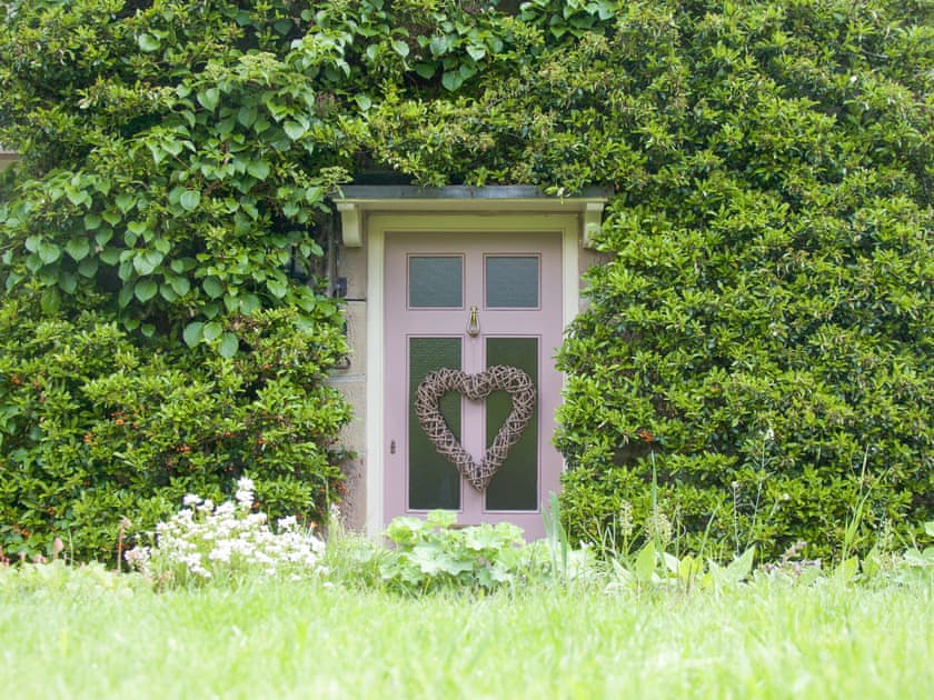 Gorgeous greenery abounds! | Penny Cottage, Bonsall, near Matlock