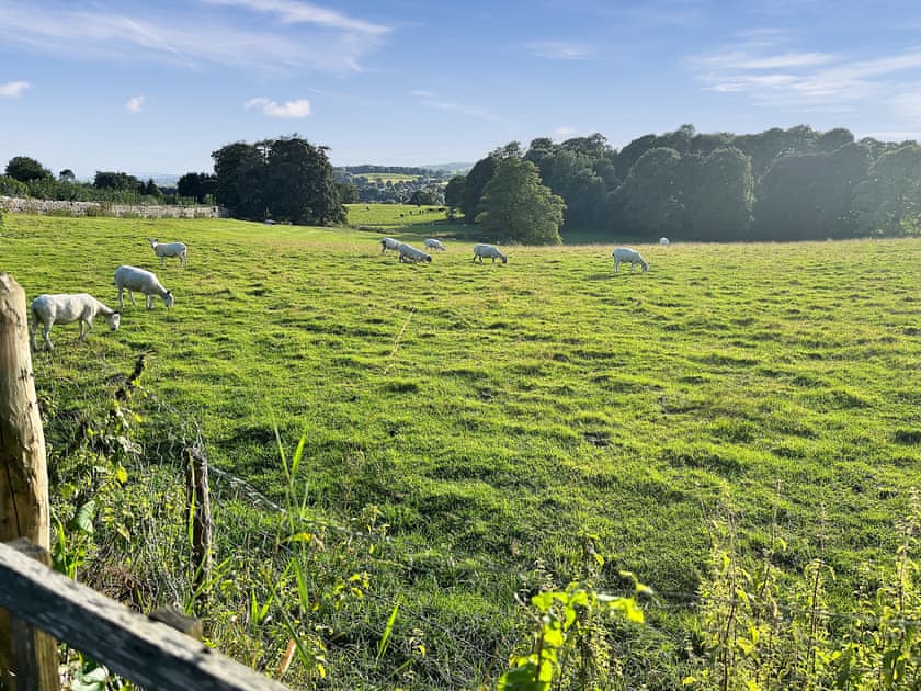 View | Ivy Cottage, Casterton