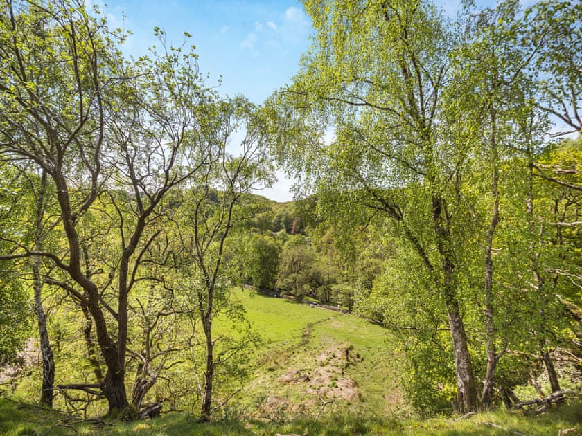Surrounding area | Cartref, Capel Curig, Betws-y-Coed