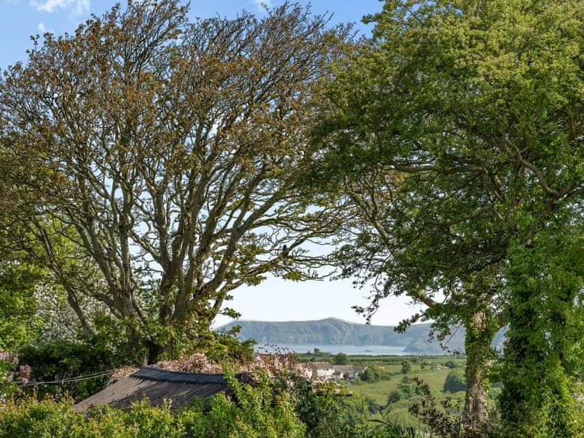 Surrounding area | Caerau Bach, Trefin, near St David’s