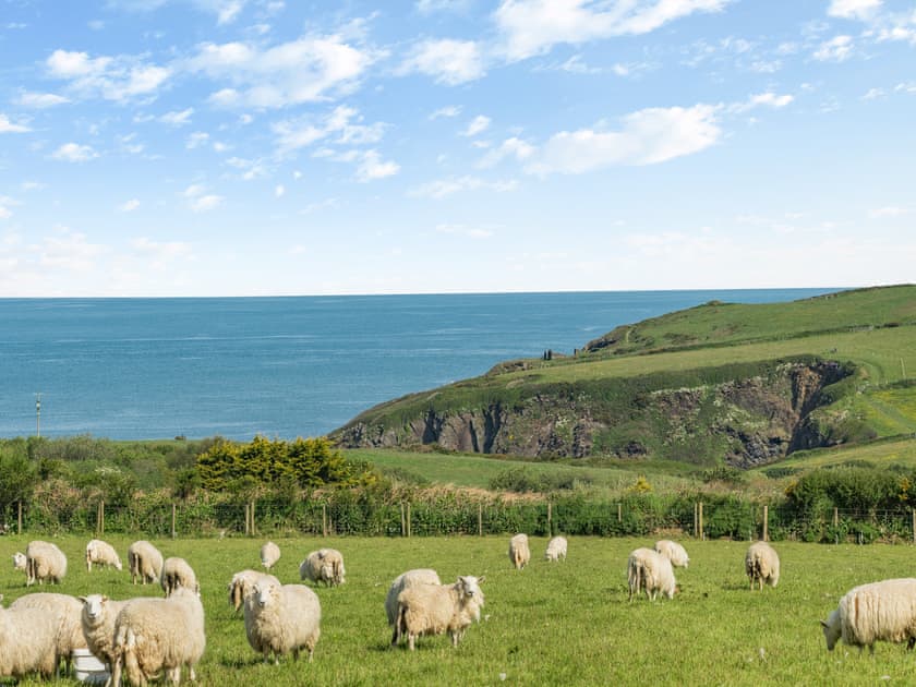 Surrounding area | Caerau Bach, Trefin, near St David’s