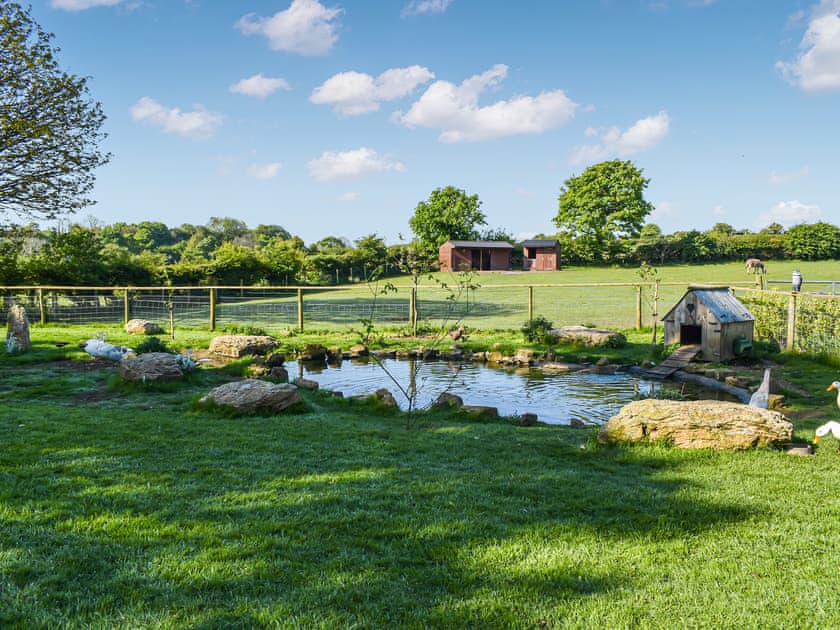Surrounding area | Escape2Anglesey-Tan Goeden - Escape2Angelsey , Benllech