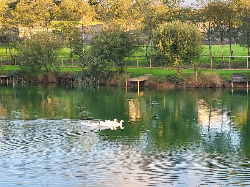 Setting | Foxglove Lodge, Primrose Lodge, Bluebell Lodge - Higher Shorston Lakes and Lodges, Holsworthy, near Bude