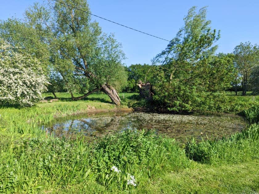 Garden and grounds | Larks Nest, Diss