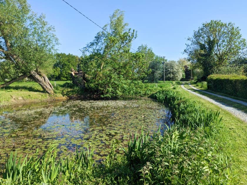 Garden and grounds | Larks Nest, Diss