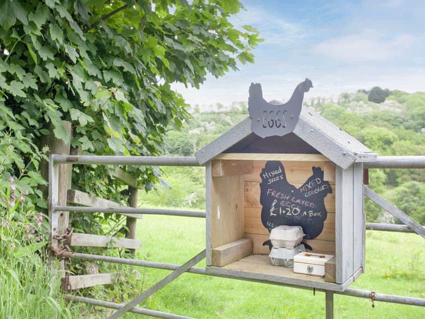 Surrounding area | Sweet’s Close, Polgooth, St Austell
