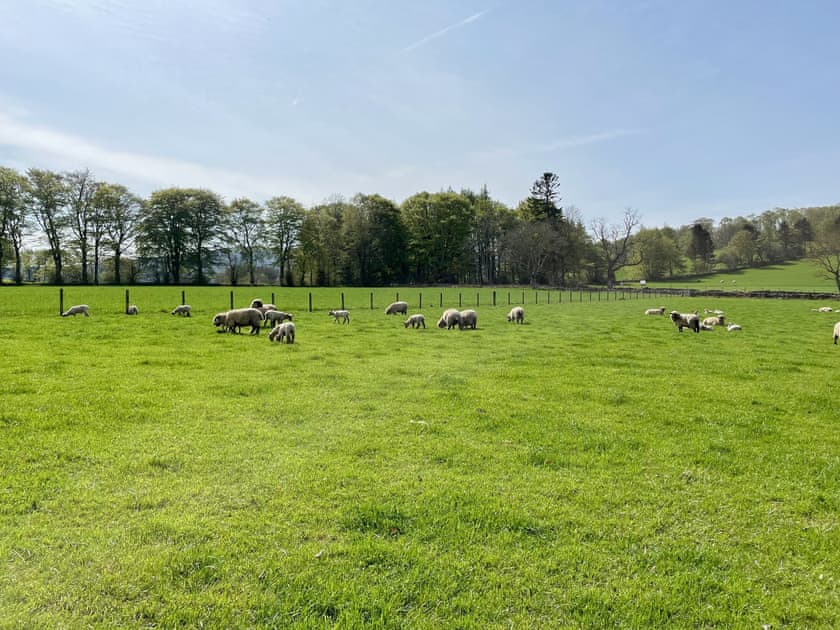 Setting | Longcroft Cottage, Oyne, near Insch