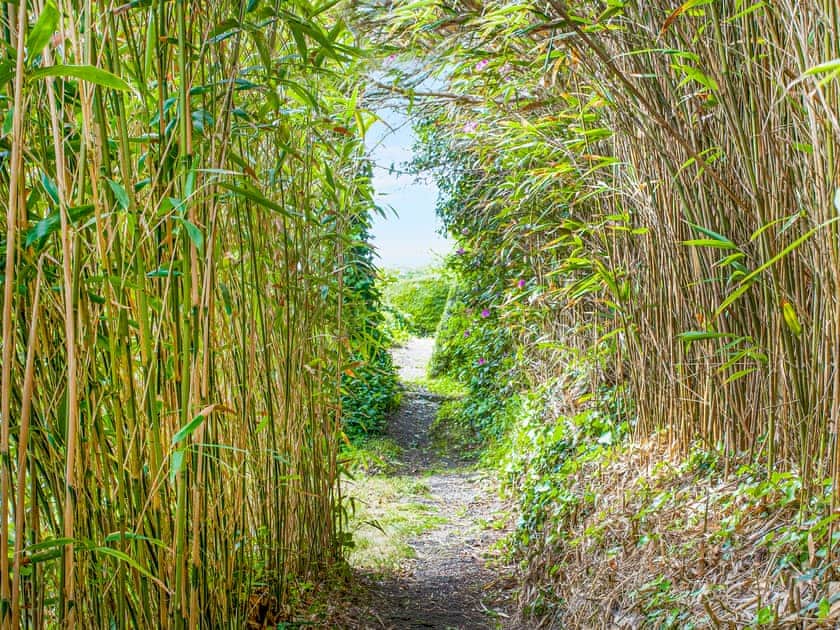 Surrounding area | Lynwood, Boscastle