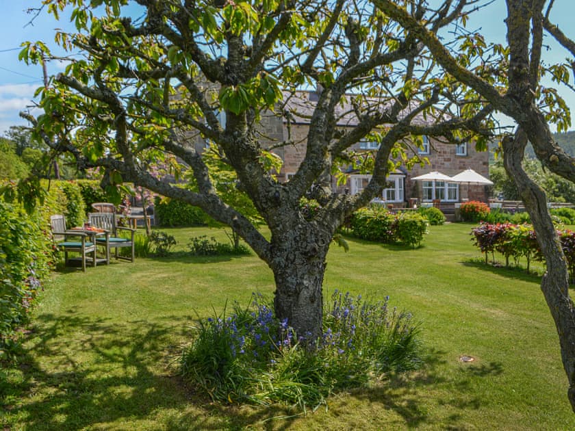 Garden | The Annexe at Tilery Cottage, Chatton, near Alnwick