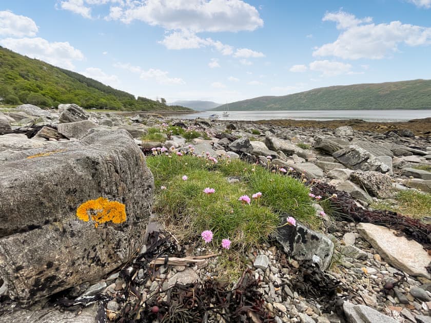 At the bottom of the track overlooking Loch Sunart | An t’Abhall, Acharacle