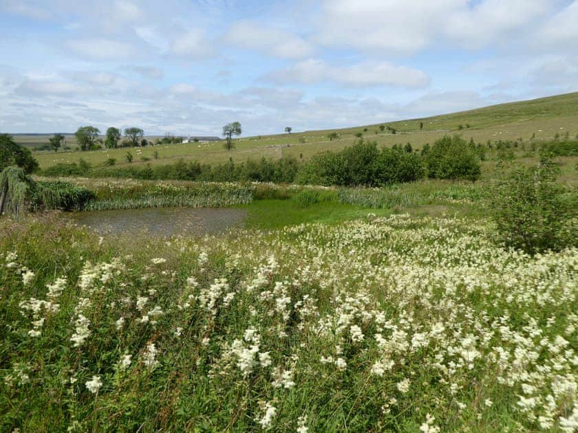 Surrounding area | Blackside Cottage, Sorn
