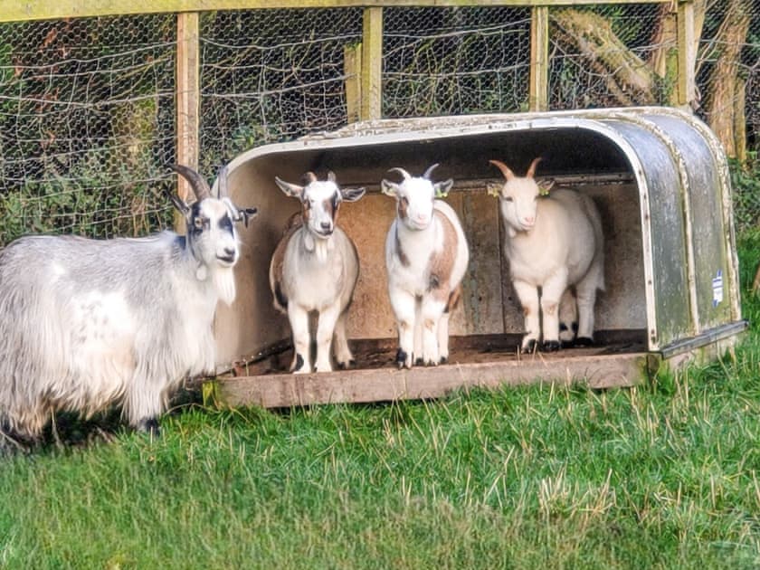 Surrounding area | Bondcroft Farm Cottage, Eastby, near Skipton
