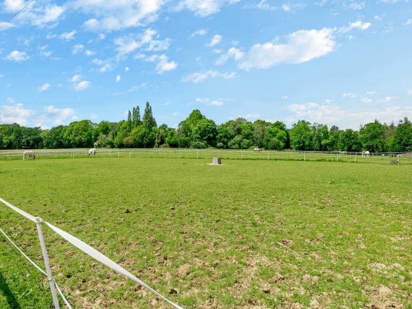 View | The Farmhouse - Bedborough Farm, Wimborne