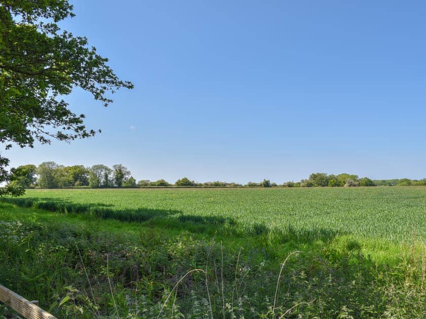 Surrounding area | No. 2 Badger Sett - Middle of Nowhere, Great Witchingham