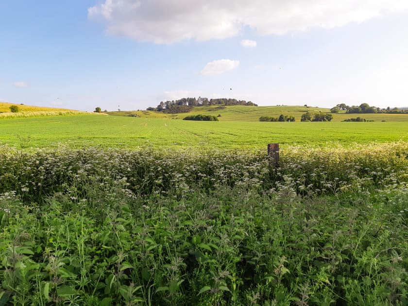 Surrounding area | Buckland Lodge - Whitey Top Lodges, Pentridge