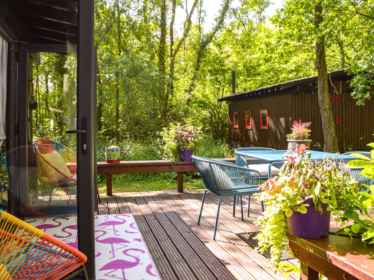 The Cabin