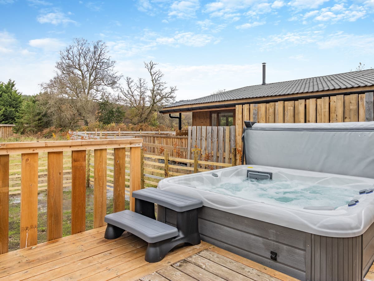 Mid Wales Lodges - Lime Lodge - Image 2