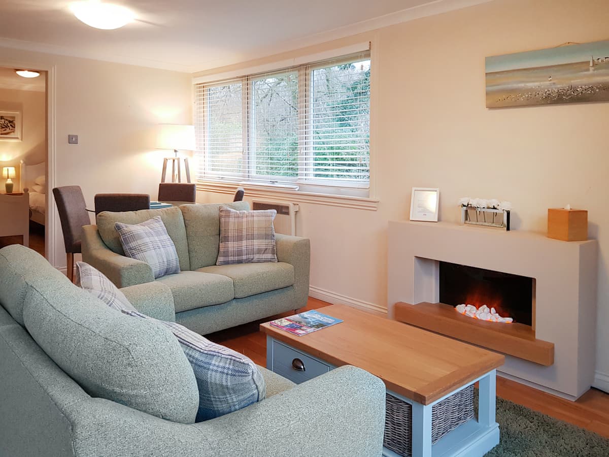 Loch Lomond Sanctuary Lodges - Leven Lodge 3 - Holiday lodge in Central Scotland - Image 1