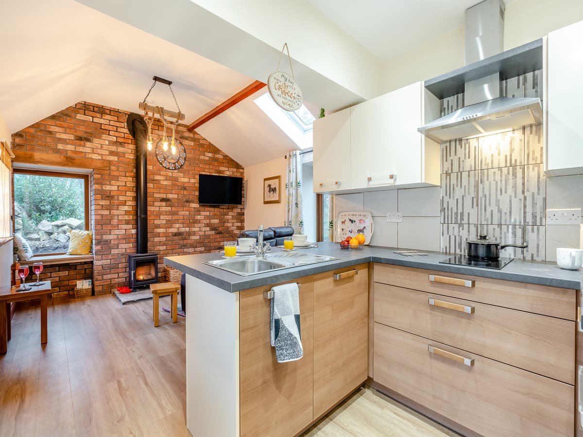 Liverton Lodge - The Forge - Holiday Lodge in Yorkshire - Image 3